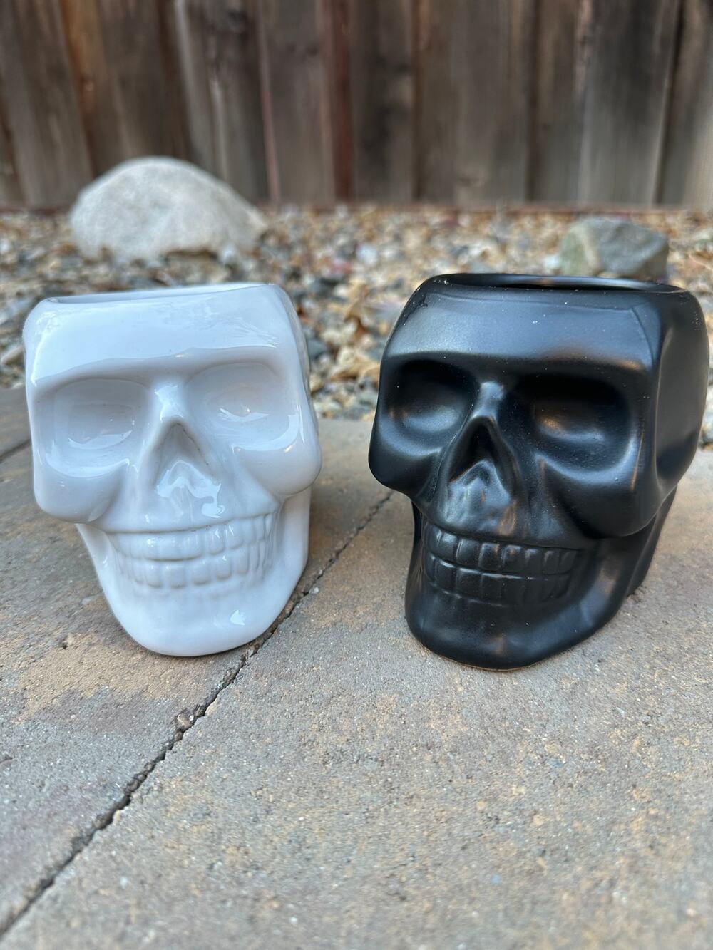 Halloween Skull Home Decor - Holders